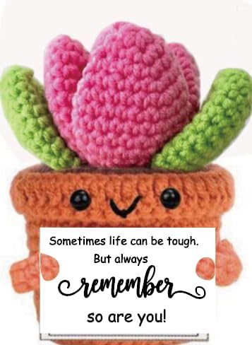 Handmade Crochet Succulent Inspirational Plush: Life’s Tough, So are You Resilience Reminder & Daily Affirmation – Comfort Gift for Stressed Souls, Students, Best Friends & Lovers