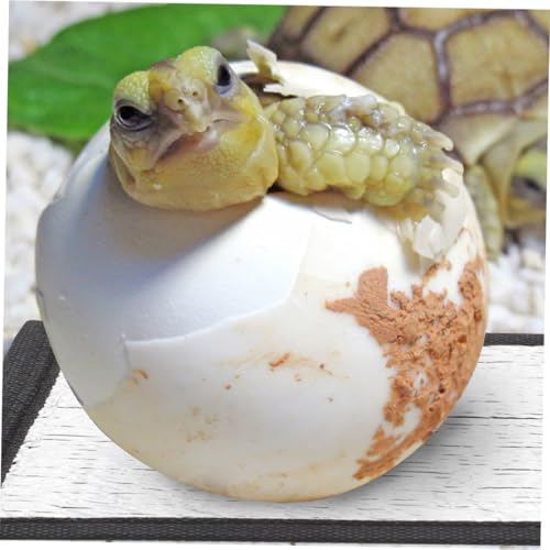 Almohadilla térmica reflectante para reptiles 16x16 cm miniatura 6