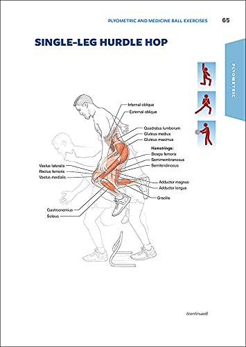 Functional Training Anatomy - Image 4