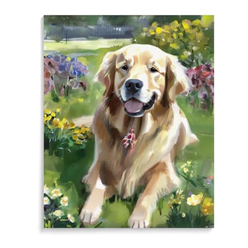 Paint by Numbers Golden Retriever Dog DIY Acrylic Painting Kit with Brushes Pigment Oil Painting Artwork Adults Beginners Wall Decor 12x16inch(30x40cm) Frameless