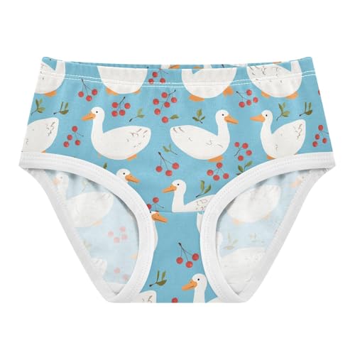 Wusikd Gooes Cherry Girls' Underwear Cotton Girls Briefs Soft Toddler Underwear 2T