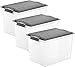 Rotho Compact Set di 3 Scatole con Coperchio, Plastica (PP) senza BPA, Grigio (Antracite)/Trasparente, 3 x 19 L, 40.0 x 28.0 x 27.0 cm
