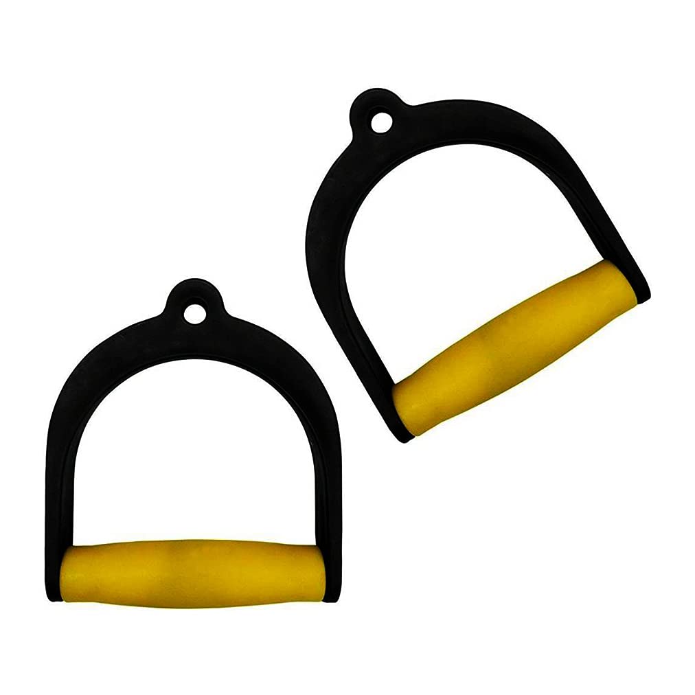 D Handle Cable Attachment, Multi-Training Handle, Heavy Duty PVC 1 Pair (B0B3JJ5NVF) Amazon Price History, Amazon Price Tracker
