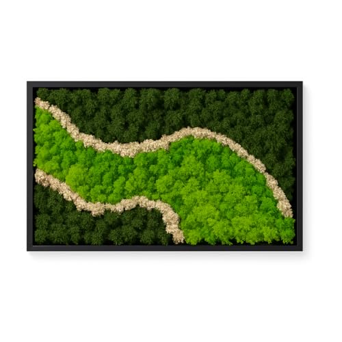 Moss Pattern Wall Art, 19.7 x 13.8 Inches, Black Frame
