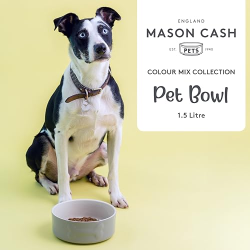 Mason Cash Colour Mix Grey Dog Bowl 20cm |1.5 Litre Capacity |Stoneware Pet Bowl for Food & Water | Dishwasher, Freezer & Microwave Safe