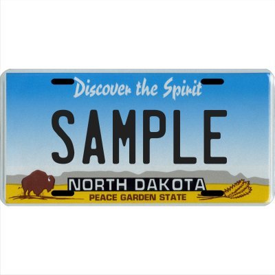 Custom Personalized Metal License Plate Your Name Your State -