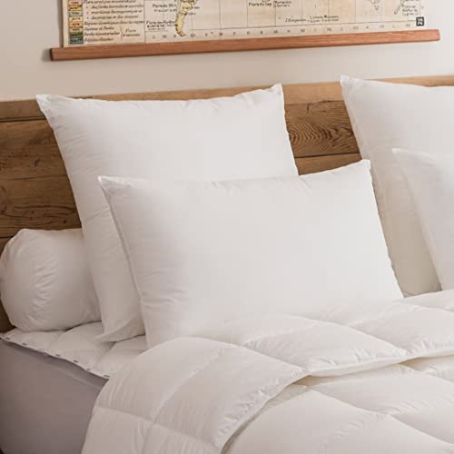 DODO - Oreiller Visco Confort Medium 50x75 cm - Mémoire de Forme - Enveloppe 100% Coton Naturel - Maintien Optimal - Garnissage Synthétique 100% Polyester -...