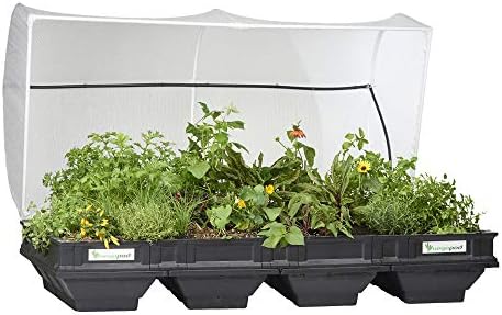 Vegepod – Raised Backyard Mattress – Self Watering Container Backyard Equipment with Protecting Cowl, Simply Elevated to Waist Peak, 10 Years Guarantee (Giant)