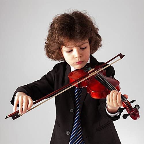 Amzz Professional 1/2 Brazilwood Ebony Frog Violin Arbor White Horsehair Violin Bow (1/2 Brazilwood) #TOP5