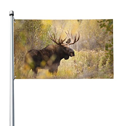Flagge 3×5 ft,Tier,Lebendige Farbe Dekorative Yard Fahnen UV-lichtbeständige,Outdoor Flagge für Garten Terrasse Hof im Freien Flagge 150×90 cm Cover