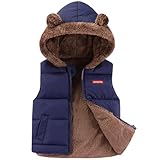 Toddler Boys Girls Hooded Puffer Vest Padded Warm Flannel Lined Sleeveless Jacket, Zip Up Padded Bear Ears Pocket 1-7y, a, 92-98