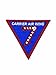 Carrier Air Wing CVW-7 Patch- with Hook and Loop