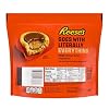 REESE'S Miniatures Milk Chocolate Peanut Butter Cups, Candy Family Pack, 15.8 oz