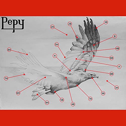 Pepy Aero Graphite Professional Drawing Pencils - Set Of 12 H Pre-Sharpened Black Lead Pencils; Perfect For Drawing, Sketching And Shading, Graphic And Fine Art #TOP1