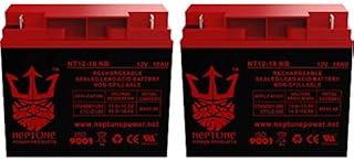 Neptune Power Products Replacement for Friendly Robotics Robomower RL500 12V 18Ah SLA Lawn Mower Battery - 2 Pack