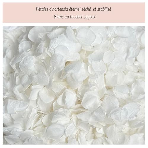 Vrai Pétales d'Hortensia Séchés Blanc, Confettis Fleurs Mariage, 1 Litre – vue 4