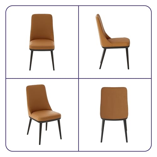 Image of Wakefit Kova Dining Chair - Robin Tan