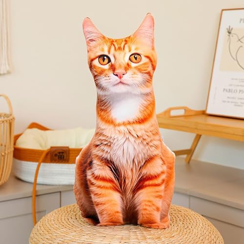 ���g���L ������ �ʂ������ 3D���� ���� �L �l�R �N�b�V���� �������� �G���h�[�� ���ʃv�����g �₳������G�� �{�����������G�� �ӂ�ӂ� �_�炩�� �\�t�@/�Ƒ��� �Y���Q�� �u�� �X���� �ޏ��� �Ԃ���� �q�� �a���� �N���X�}�X�v���[���g