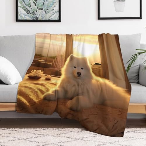 Couverture chaude de décoratifs plaid canapé grand format flanelle - 3