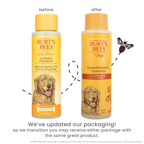 Burt's Bees for Pets Hypoallergenic Dog Shampoo with Shea Butter and Honey, Gentle Fragrance Free Shampoo for Sensitive Dogs with 95% Natural Origin