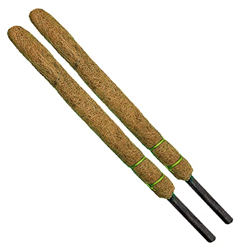 GCI Agro - (4ft) Coco Pole - Coir Moss Stick for Indoor - Outdoor || House Plant Creepers Support (Set of 2) (B0969TW49L) Amazon Price History, Amazon Price Tracker
