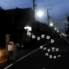 �ӂ��肾���� / �V�x���A���n�X�L�[