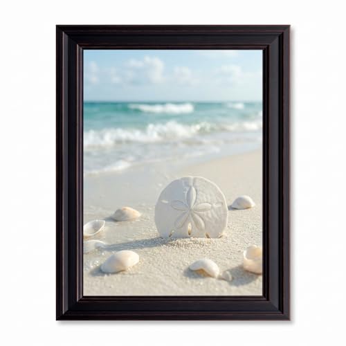 Framed Sand Dollar Canvas Art Coastal Beach Ocean Photography Print