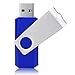 2GB USB 2.0 Stick 10Pack, TOPESEL Bulk USB Flash Drive Swivel 2GB Pen Drive Thumb Drive Jump Drive Computer Data Storage (10Pack Blue)
