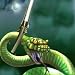 72" Extra Heavy Duty (two piece) Snake Stick. The EXHD Is The Best Snake Tong On The Market! The EXHD comes in 7 sizes 25",40",52",60",72",84" and 96"