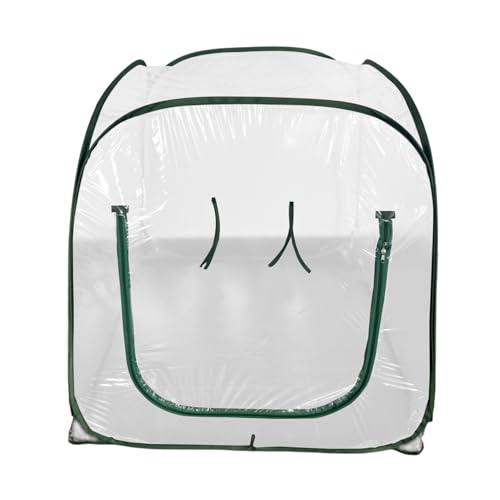 Mini invernadero para plantas cubierta