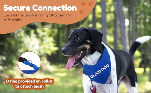 Doggie Stylz Bandana refletiva para cães cegos – Equipamento de segurança de alta visibilidade, perf