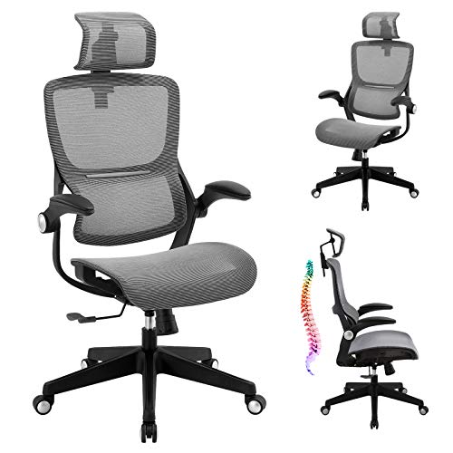 Best Gray Ergonomic Office Chair 2021 Where to Buy? Ergonomic Office