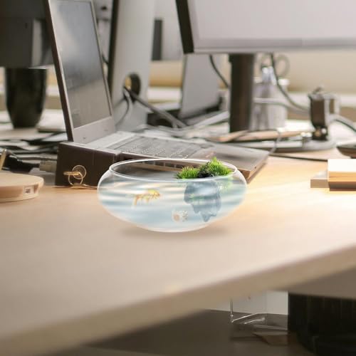 Operitacx Blumentopf Aus Glas Pflanzschalen Für Seerosen Schüssel Terrarium Sukkulenten Pflanzer Hydroponische Pflanzschale Kugelförmiges Terrarium Aquatischer Büro Aquarium Aus Glas