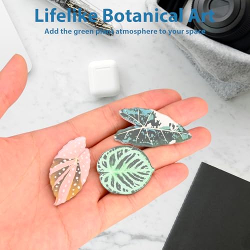 12 imanes decorativos en forma de hoja para nevera miniatura 5