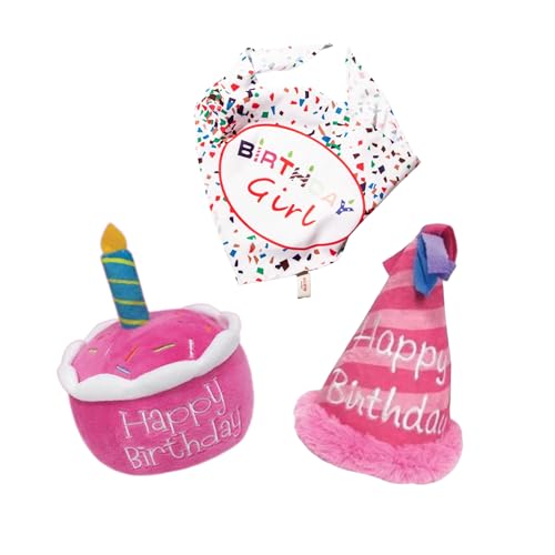 Birthday Girl Dog Gift Bundle – Juguetes para Perro