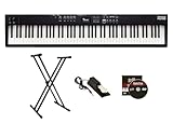 Roland RD-08 88-Key Stage Piano - Black Bundle with Adjustable Stand, Sustain Pedal, Online Piano Lessons, and Austin Bazaar Instructional DVD