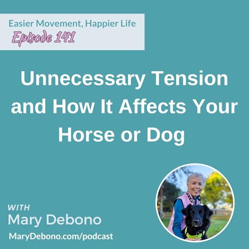 Unnecessary Tension and How It Affects Your Horse or Dog
