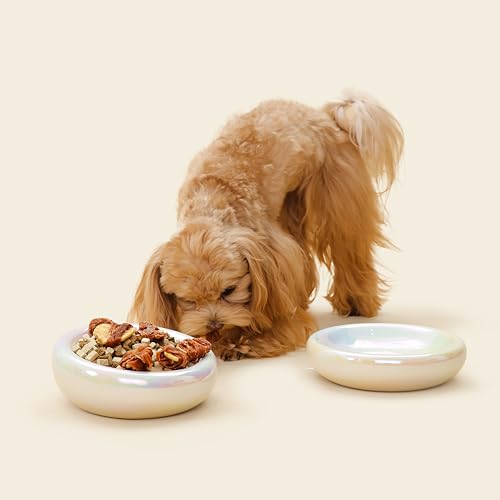 Pet JoJo Pebble Pet Bowl Deep Pearl, Ergonomic Dog Cat Feeding Bowl, Flat-Faced Breed, Tilted Ceramic Pet Food Dish, Scooper Eater, Anti-Spill Design, Dishwasher Safe, Modern Pet Bowl, Dry & Wet Diet