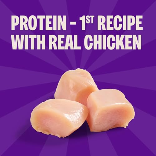 Image of Wellness Rewarding Life Soft Dog Training Treats, Natural, Grain Free, Chicken and Lamb Recipe, 6 oz Bag