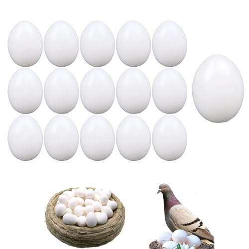 VYNZOR Lot de 16 faux oeufs de poule pondeuse œufs factices Faux œufs de Pigeons en Plastique Solide œufs factices pour Pigeons