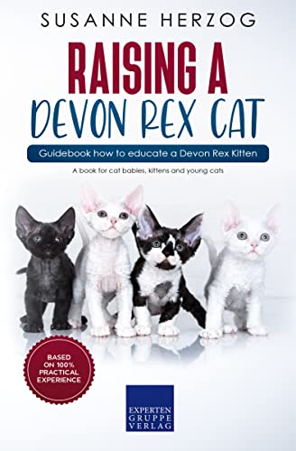 Raising a Devon Rex Cat – Guidebook how to educate a Devon Rex Kitten: A book for cat babies, kittens and young cats