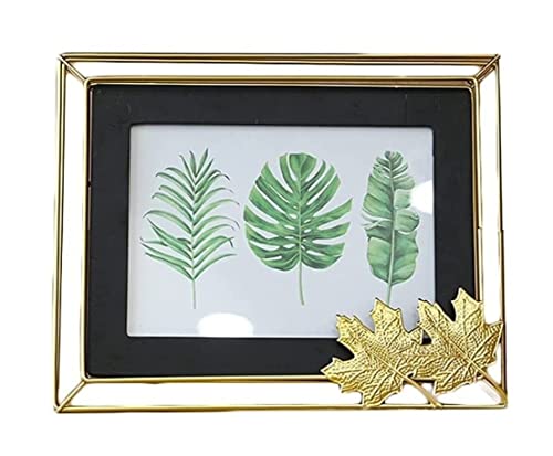 tHgt[ ʐ^ `̎ʐ^t[KXzQ̃rO[̃hbVOe[ǔɓKnIȎʐ^̃fBXvC z LO(Black)