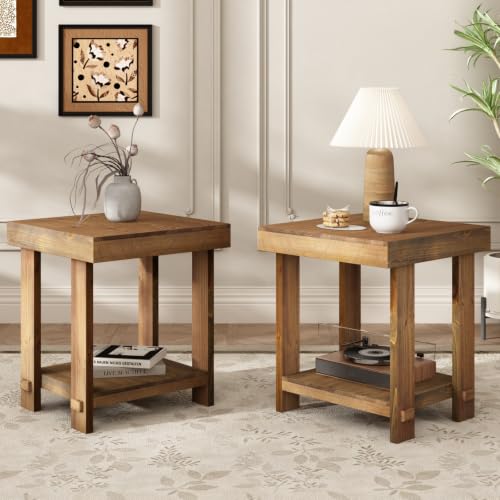 HOKYHOKY Set of 2 Solid Wood End Table, 2-Tier Farmhouse Side Table