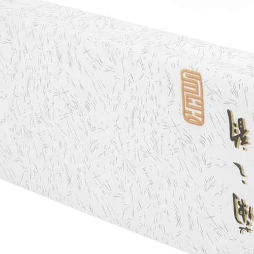 Support confortable pour les patients alités avec oreiller compensé de dos - 3