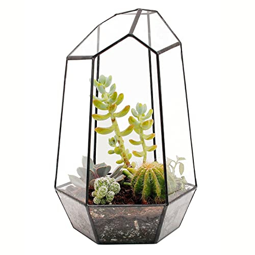 Glass Geometric Plant Terrarium,Succulent & Air Planter For Indoor Tabletop Home Office Decoration,Display Planter Succulent Holder Flower Pot Diy, 9.8" Height,No Plants Included(Black Irregular) #TOP7