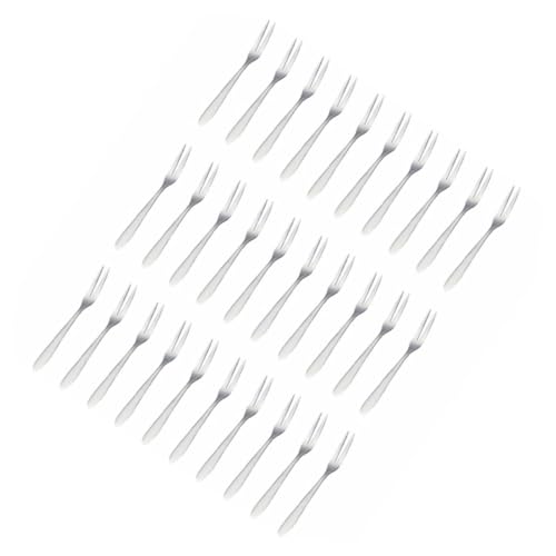 Hohopeti 30 pezzi Forchette per Frutta in Acciaio Inossidabile Brillante Forchettine Antipasti Riutilizzabili con Due Denti Resistenti Facili da Pulire e Adatte Frutta Dessert e Snack