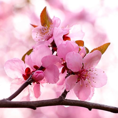 Gef&uuml;hle loslassen