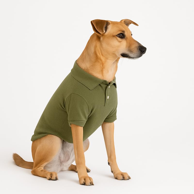 Image of Thunder Tails Premium Cotton Polo Dog T-Shirt | for Small Dogs & Puppies |Olive| Large | for Pugs, Lhasa Apso, Poodle, Dachshund & Pomerian