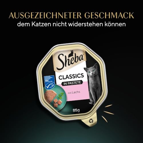 SHEBA Schale Nassfutter für Katzen Classics in Pastete mit Lachs 2 x 11 x 85g – Ansicht 6