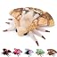 Brown Dead Leaf Moth 10.62inch